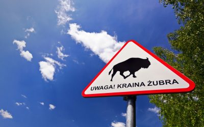 New signs with the silhouette of bison in the Białowieża Forest!