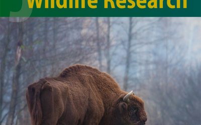 Bison photo on the cover of a scientific journal