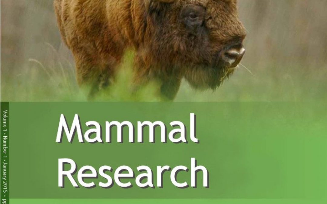 Mammal Research rebuilding its Impact Factor