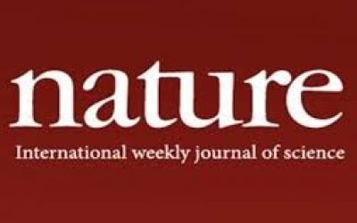 The prestigious scientific journal Nature published an article on the Białowieża Forest