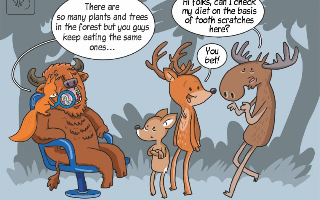 Diet of ungulates in Białowieża Primeval Forest in the scientific comic