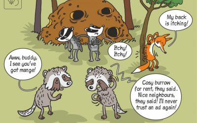 Unpleasant effects of sociality among carnivores – new science comic