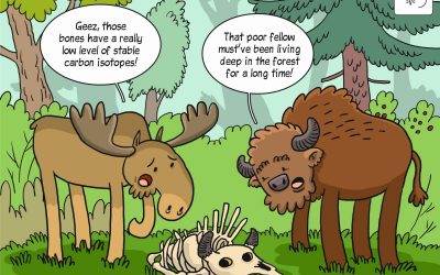 Science cartoon on the habitat use and diet by large herbivores in Europe