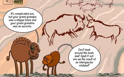 Our new science cartoon showing research on European bison origin