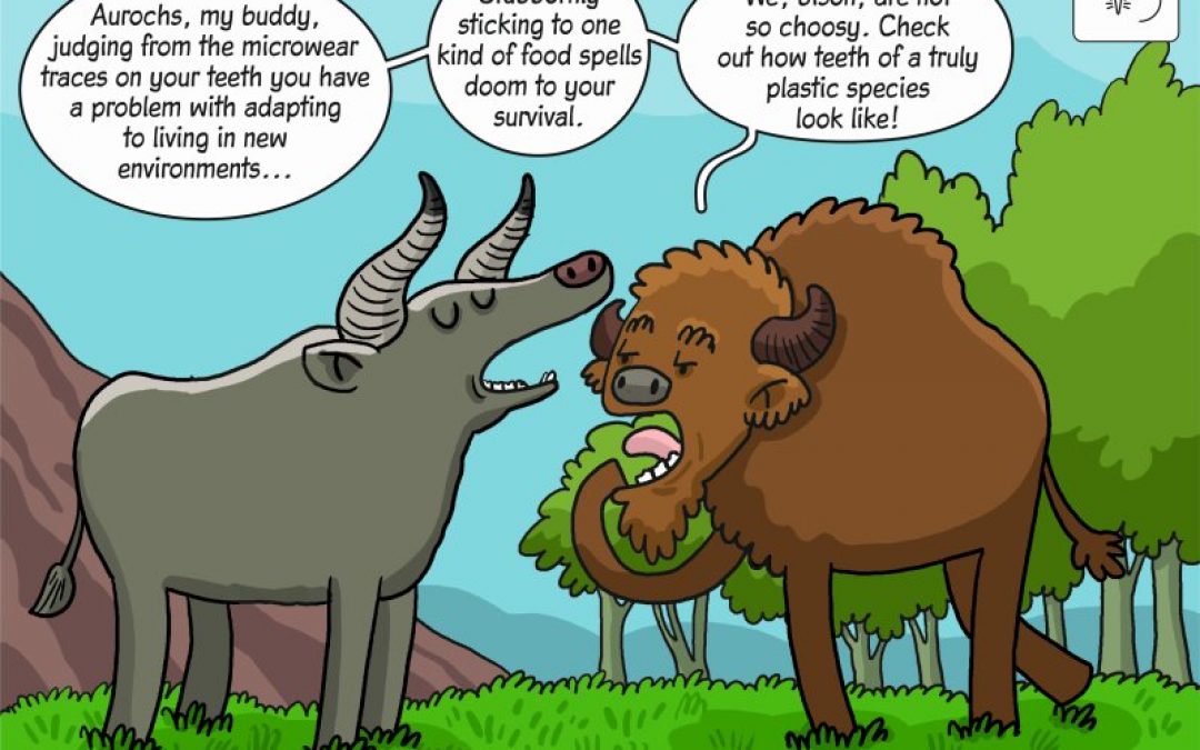 Science cartoon showing the impact of environmental changes in the Holocene on the diet of large herbivores