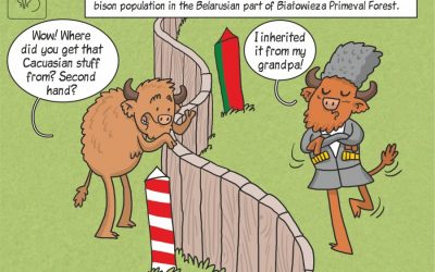 This week science cartoon presents the results of the comparative genetic analyses of the European bison