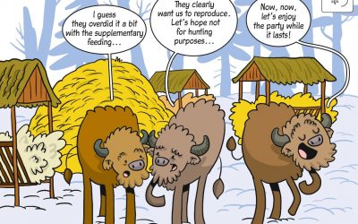 Science cartoon about European bison management in XIX century