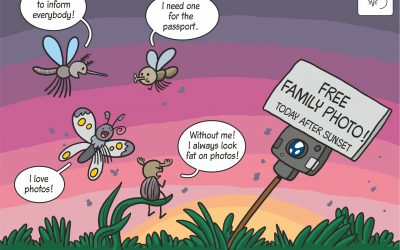 12.02.2020 Scientific cartoon on method for estimating densities of insects