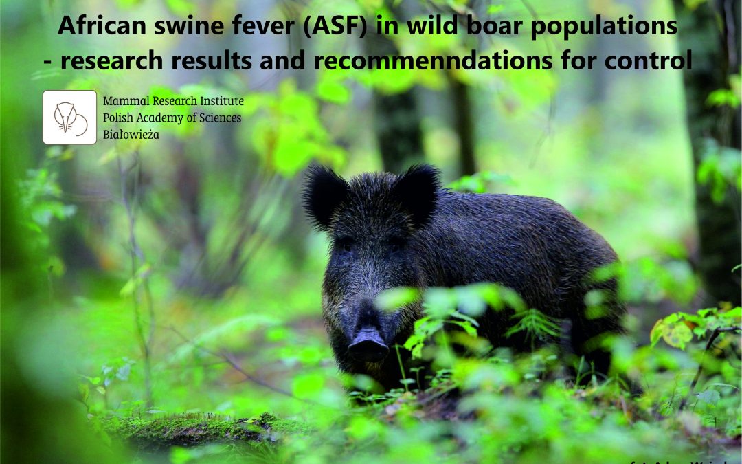 01.09.2020 – Report on African Swine Fever in wild boar populations