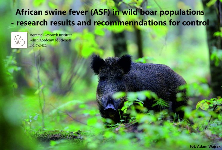 01.09.2020 – Report on African Swine Fever in wild boar populations