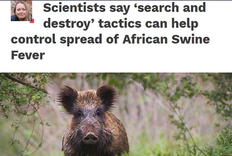 07.09.2020 – Science in Poland about the MRI PAS report on African Swine Fever