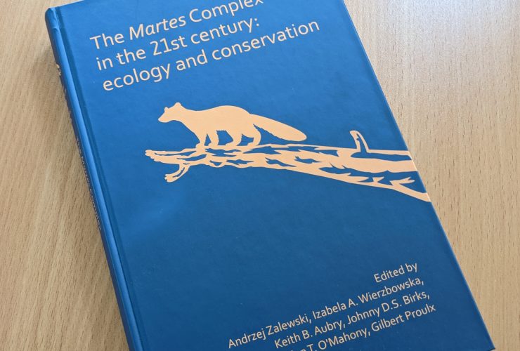 12.08.2022 – Special offer on the book “The Martes Complex in the 21st century: ecology and conservation”