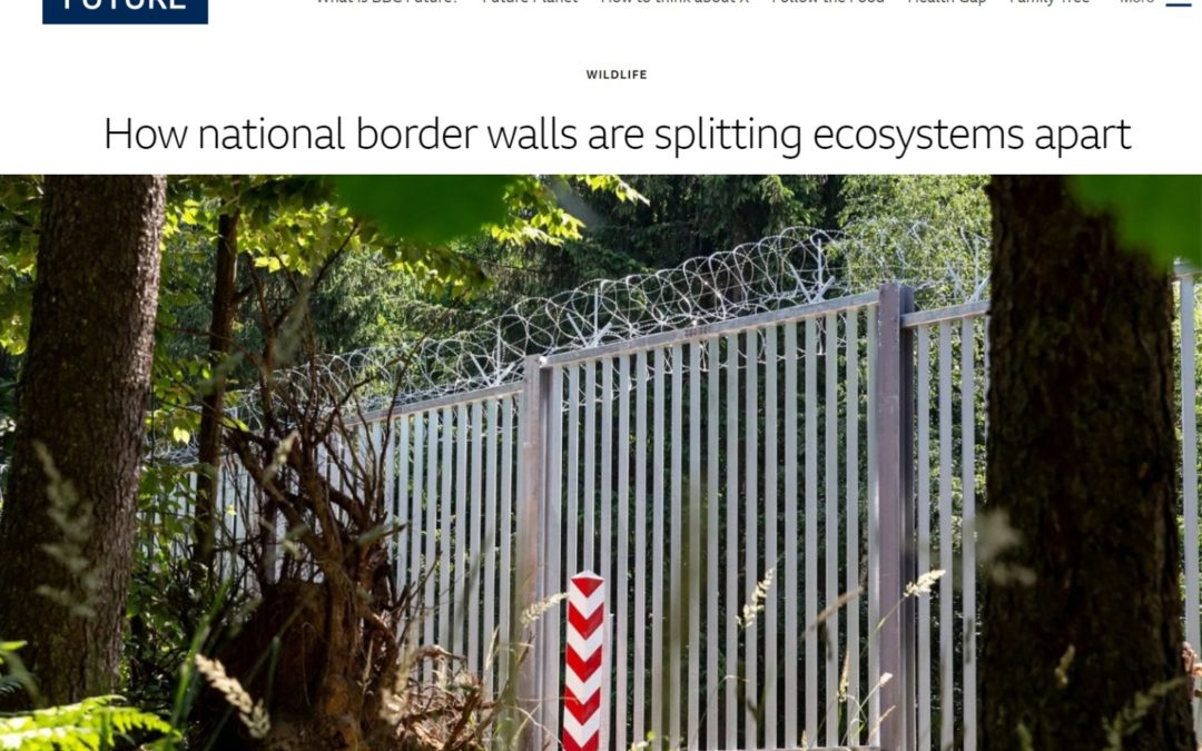 15.12.2022 – article on the impact of border wall on the ecosystem