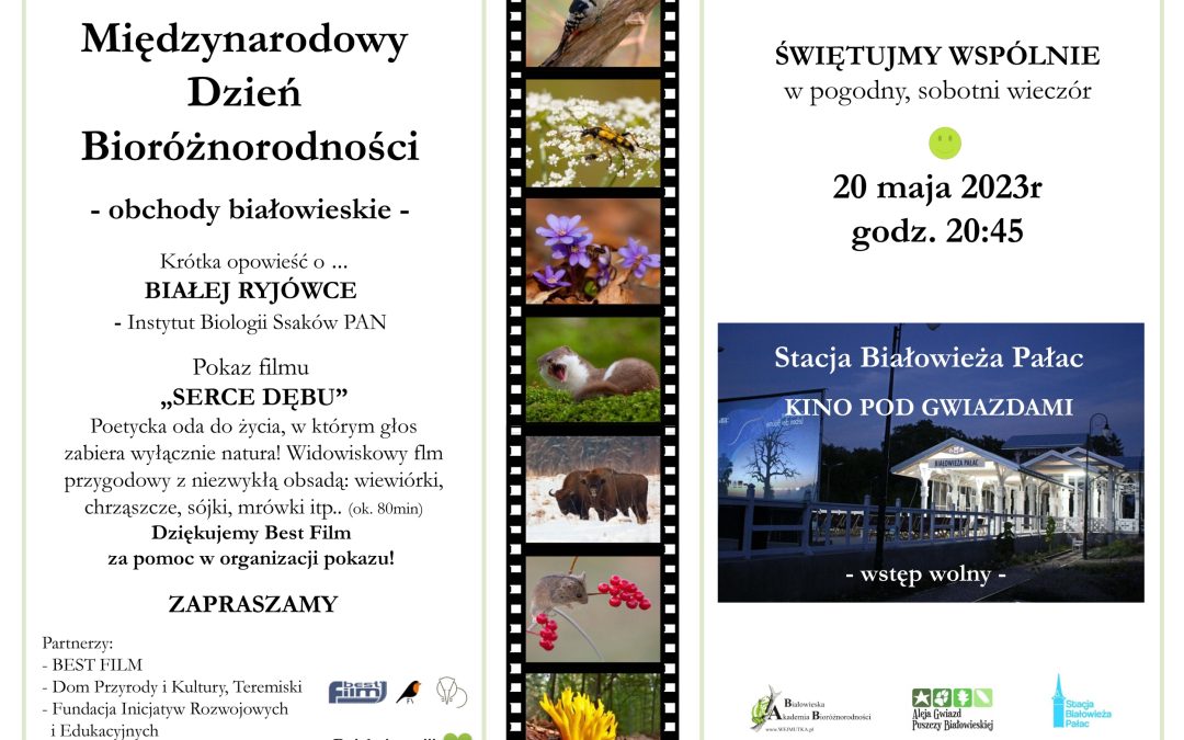 International Biodiversity Day in Białowieża – 20th May 2023