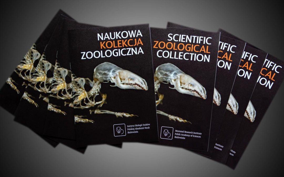 06.06.2024 – leaflet on the Scientific Zoological Collection of MRI PAS