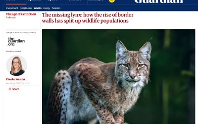 29.04.2025 – The Guardian on dr. habil. Katarzyna Nowak’s research