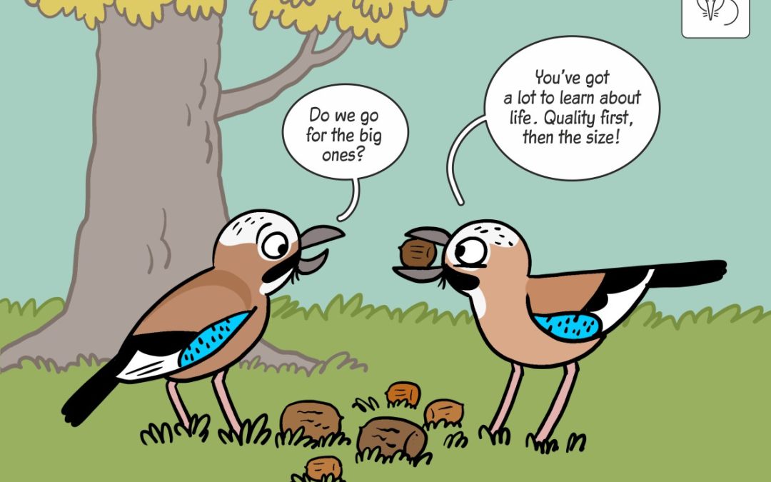 30.04.2025 – Science cartoon on jays and acorns