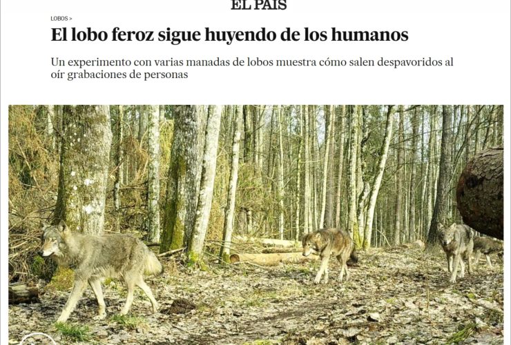 08.10.2025 – media worldwide on our publication of wolves’ fear of humans