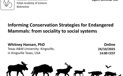 MRI PAS Open Seminar #67 – 24.10.2025