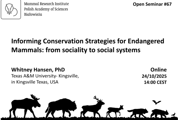 MRI PAS Open Seminar #67 – 24.10.2025