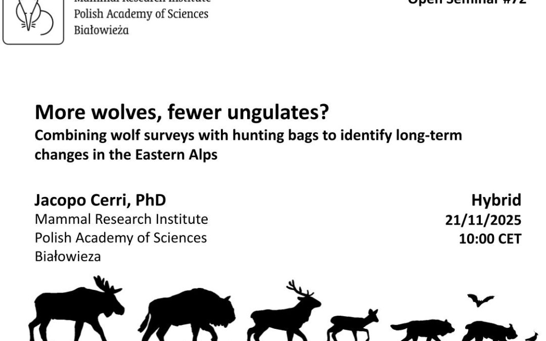 MRI PAS Open Seminar #72 – 21.11.2025