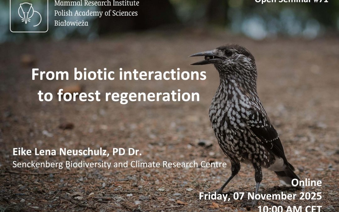 MRI PAS Open Seminar #71 – 7.11.2025