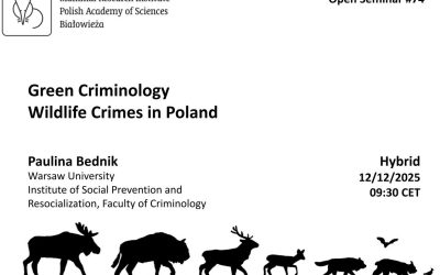 MRI PAS Open Seminar #74 – 12.12.2025