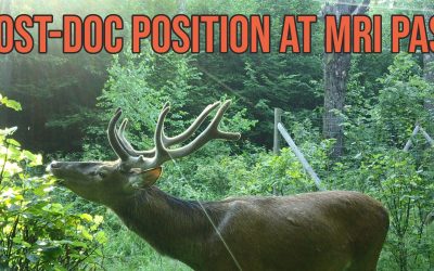 09.12.2025 – Post-doc position at MRI PAS