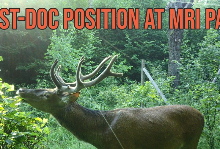 09.12.2025 – Post-doc position at MRI PAS