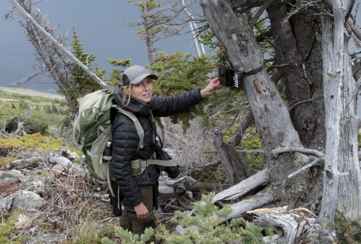 18.02.2026 – Dr. habil. Katarzyna Nowak won the Planet Earth Award 2026!