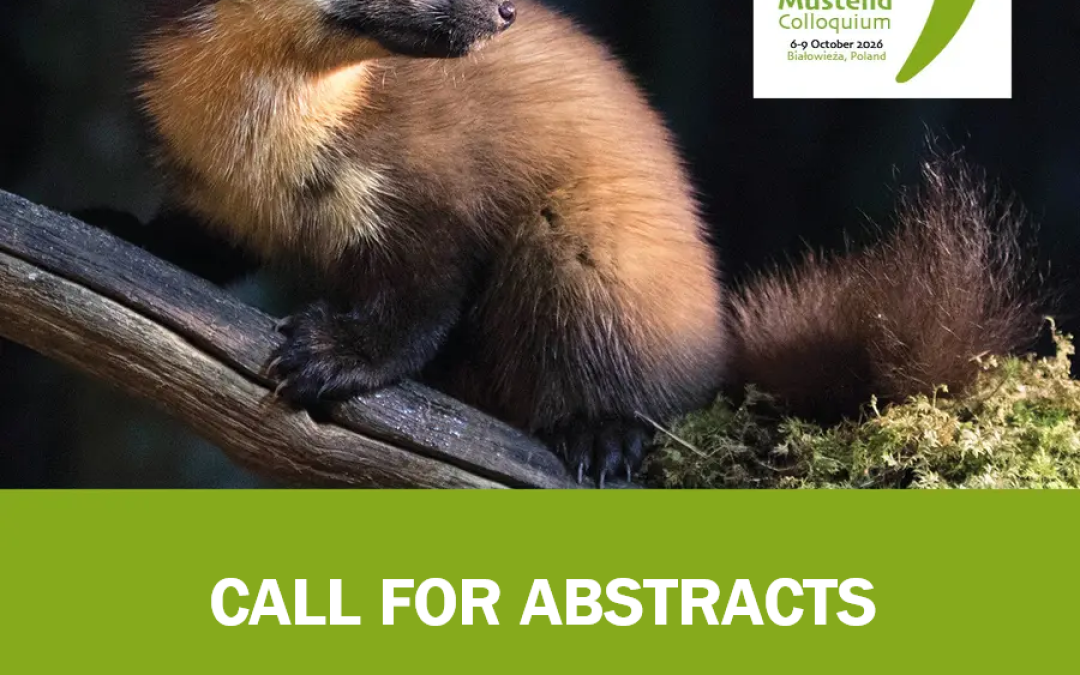 CALL FOR ABSTRACTS: BIAŁOWIEŻA ECOLOGY  CONFERENCE 2026/36th EMC