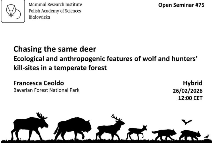 MRI PAS Open Seminar #75 – 26.02.2026