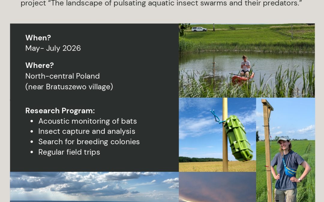 24.02.2026 – Volunteers needed