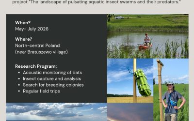 24.02.2026 – Volunteers needed