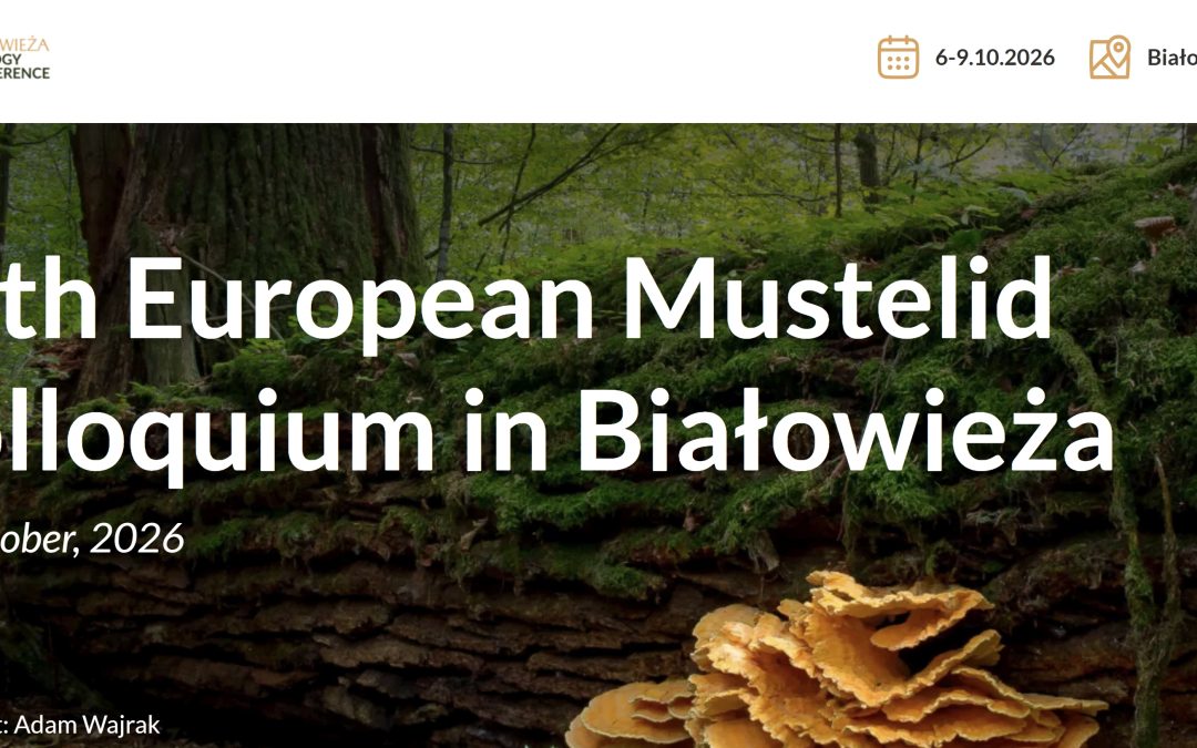24.03.2026 – 36th European Mustelid Colloquium – Early Bird registration and abstract submission