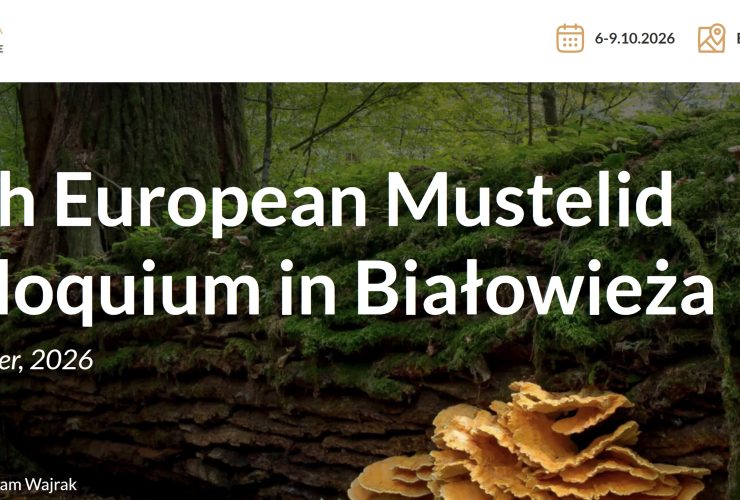 24.03.2026 – 36th European Mustelid Colloquium – Early Bird registration and abstract submission