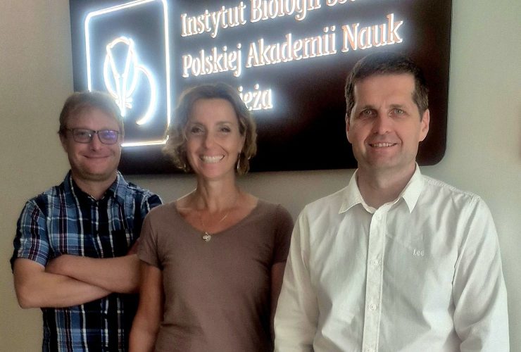 20.07.2026 – New grants at MRI PAS!