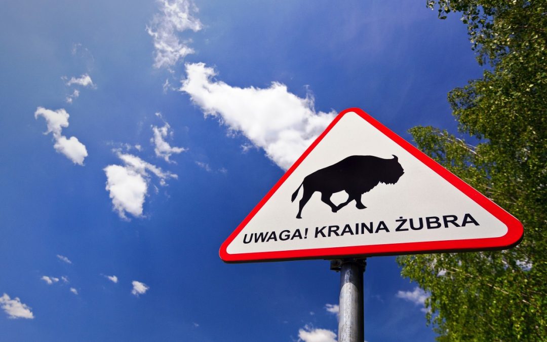 Nowe znaki z sylwetką żubra w Puszczy Białowieskiej!