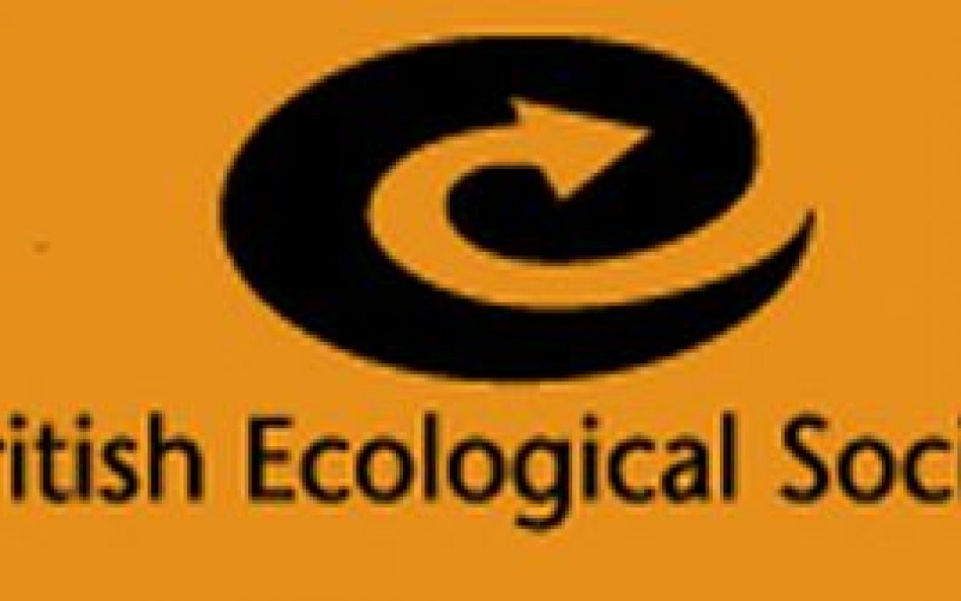 Artykuł pracowników IBS PAN wyróżniony przez redakcję czasopisma Functional Ecology