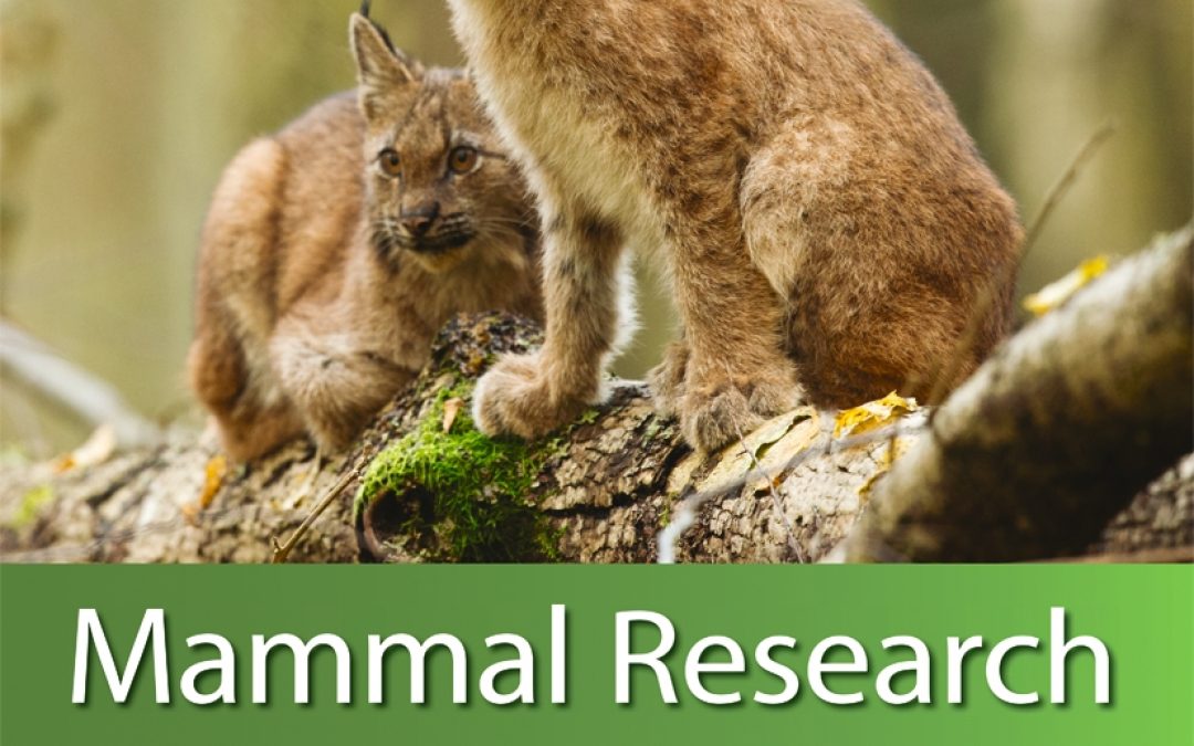 Nowa okładka czasopisma Mammal Research
