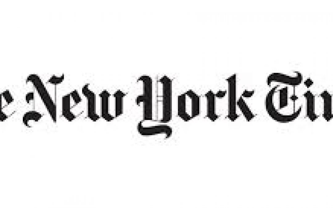 O kontrowersjach związanych z ochroną żubra w New York Times