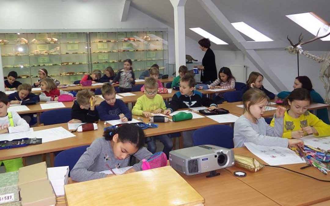 Co ssaki mają w środku? – dzieci z białowieskiej podstawówki na zajęciach edukacyjnych w Instytucie Biologii Ssaków PAN.