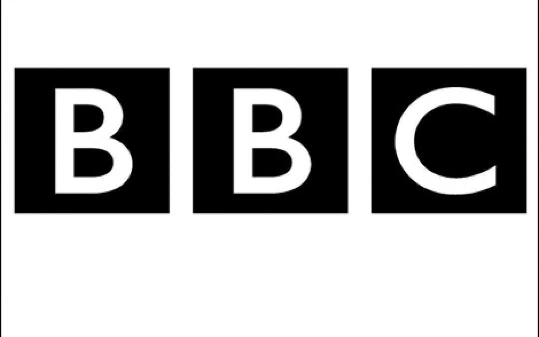 BBC News o krowie w stadzie żubrów