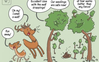 Najnowsze odkrycia IBS PAN w formie komiksowej