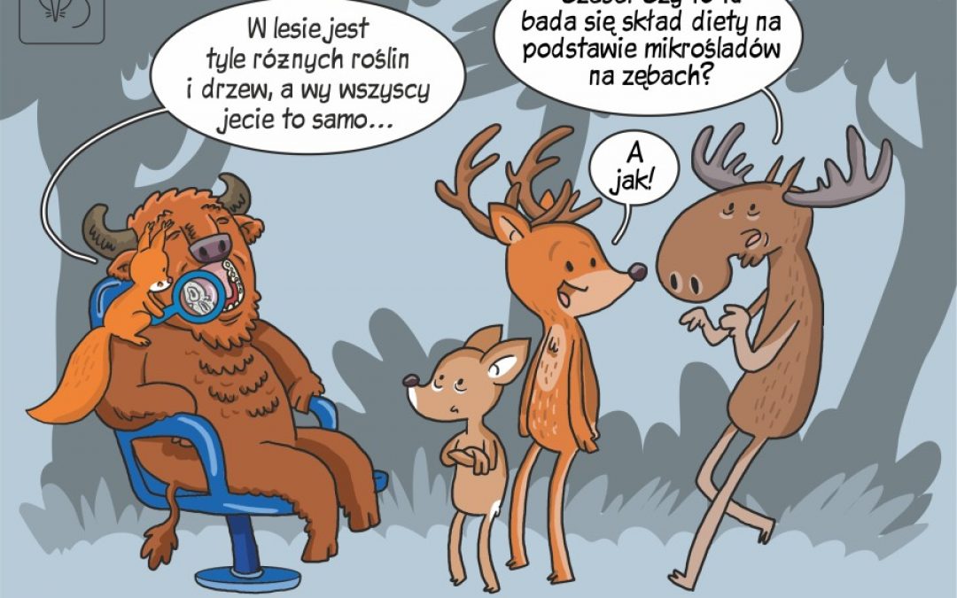 Dieta ssaków kopytnych w Puszczy Białowieskiej w komiksowym skrócie