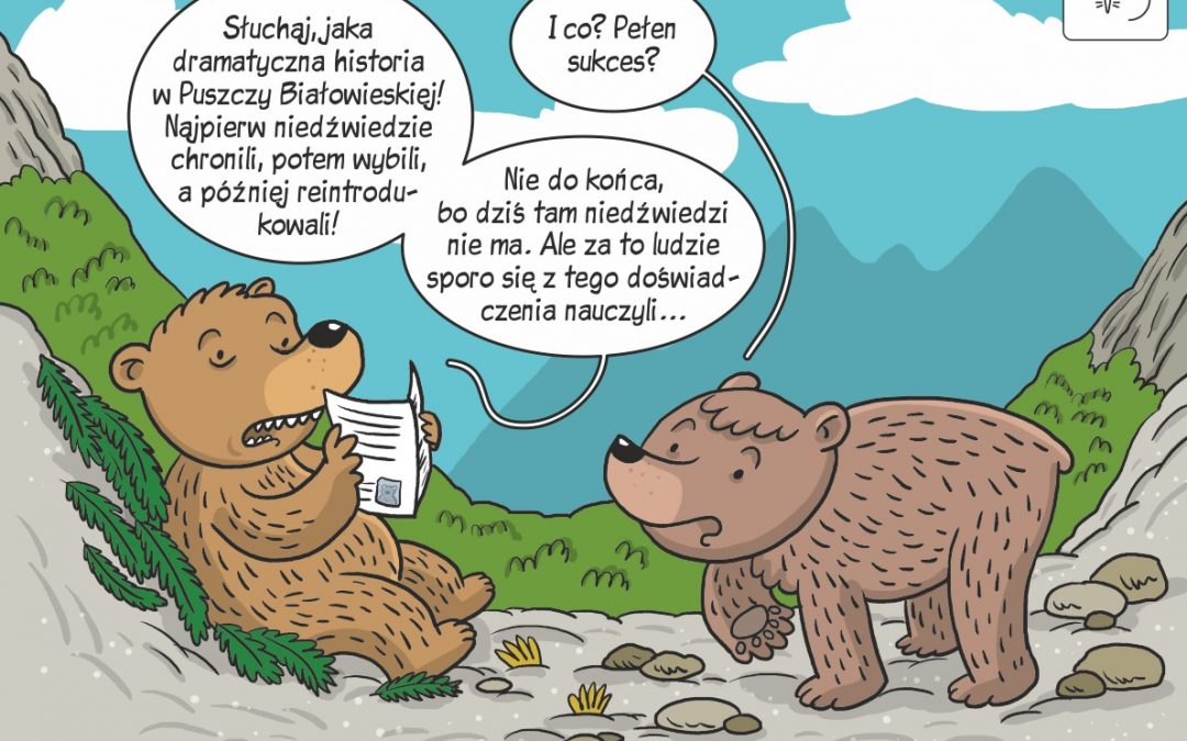 Komiks naukowy o historii niedźwiedzia w Puszczy Białowieskiej