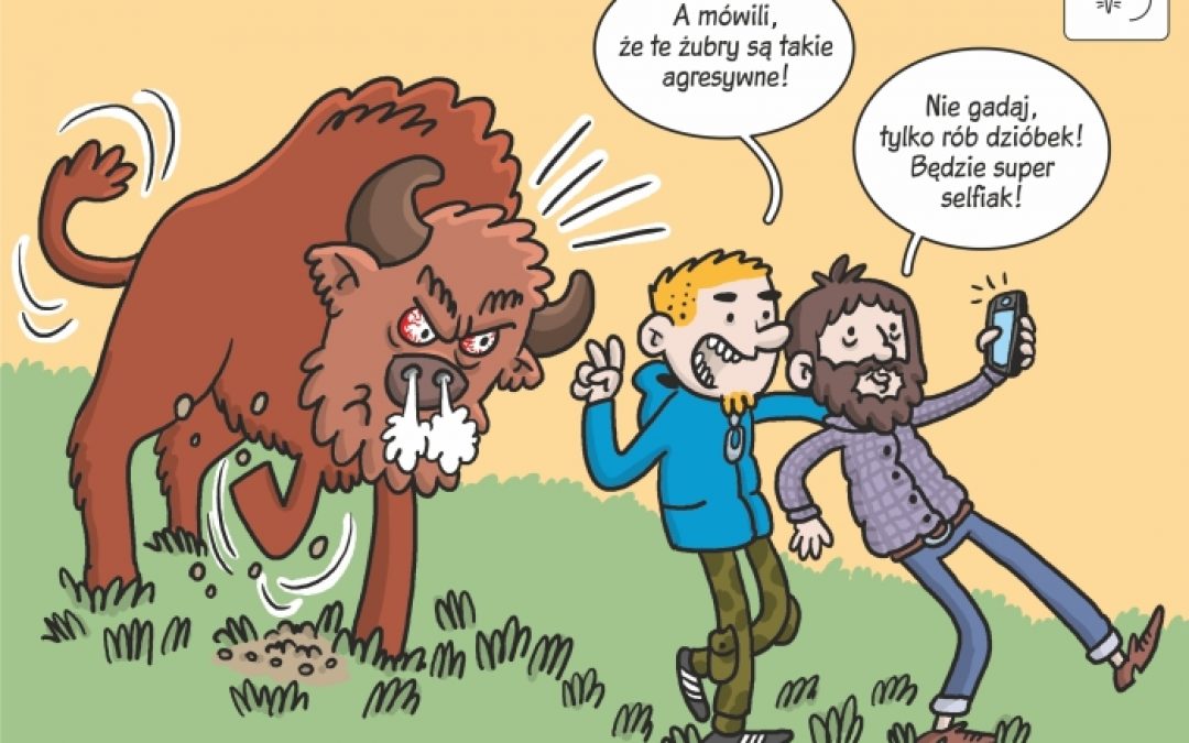 Komiks naukowy o reakcjach żubrów na obecność człowieka!