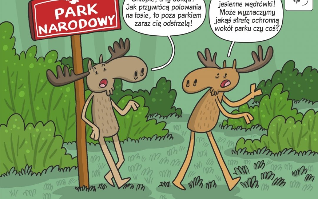 Komiks naukowy o potencjalnym wpływie polowań na łosie w parkach narodowych