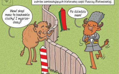 Komiks naukowy prezentujący wyniki analiz genetycznych żubrów z polskiej i białoruskiej części Puszczy