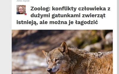 Nauka w Polsce o konfliktach z dużymi zwierzętami